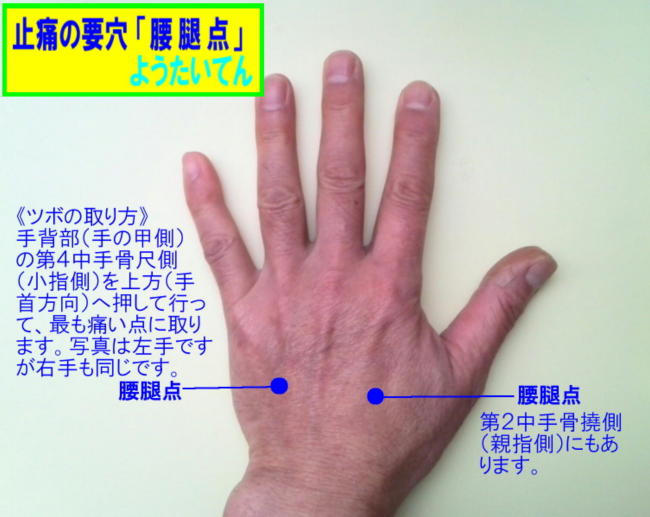 セイ鍼灸院ホームページ  「手」を自分で押して自分で治す！？腰腿点・・ﾖｳﾀｲﾃﾝ・・「痛みを止める要穴」  自分で指で押しても効果があります。